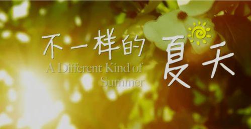 不一样的夏天,不一样的夏天掠影